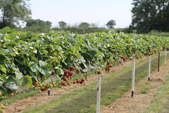 Parkside Farm