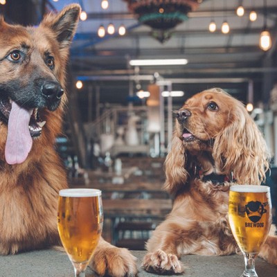 8 Dog-Friendly Pubs In London