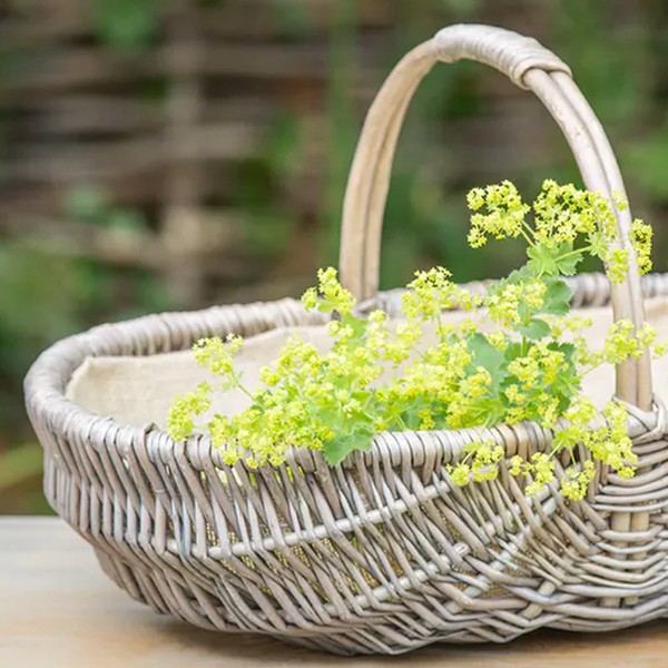 Willow Flower Trug from Sarah Raven