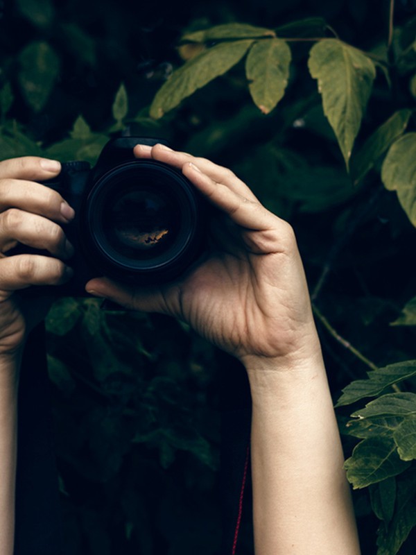 My Interesting Job: Private Investigator