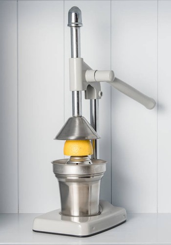 Fruit Juicer from Distinctly Living