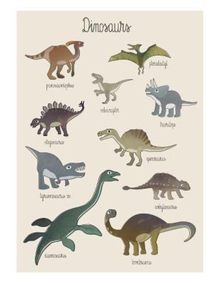 Dinosaur Poster from Sebra
