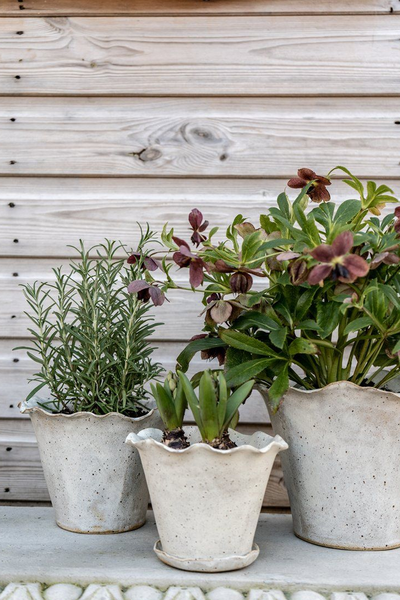 Ebba Giardino Planter