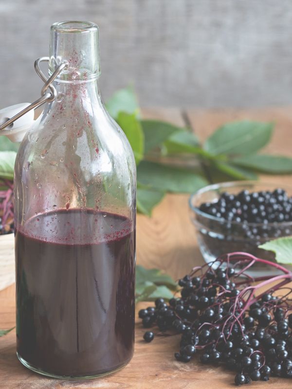 Elderberry: The Wise Old Berry