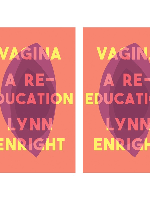 Book Review: Vagina: A Re-Education by Lynn Enright