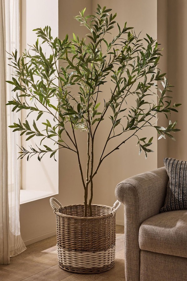 Green 6ft Artificial Olive Tree from next