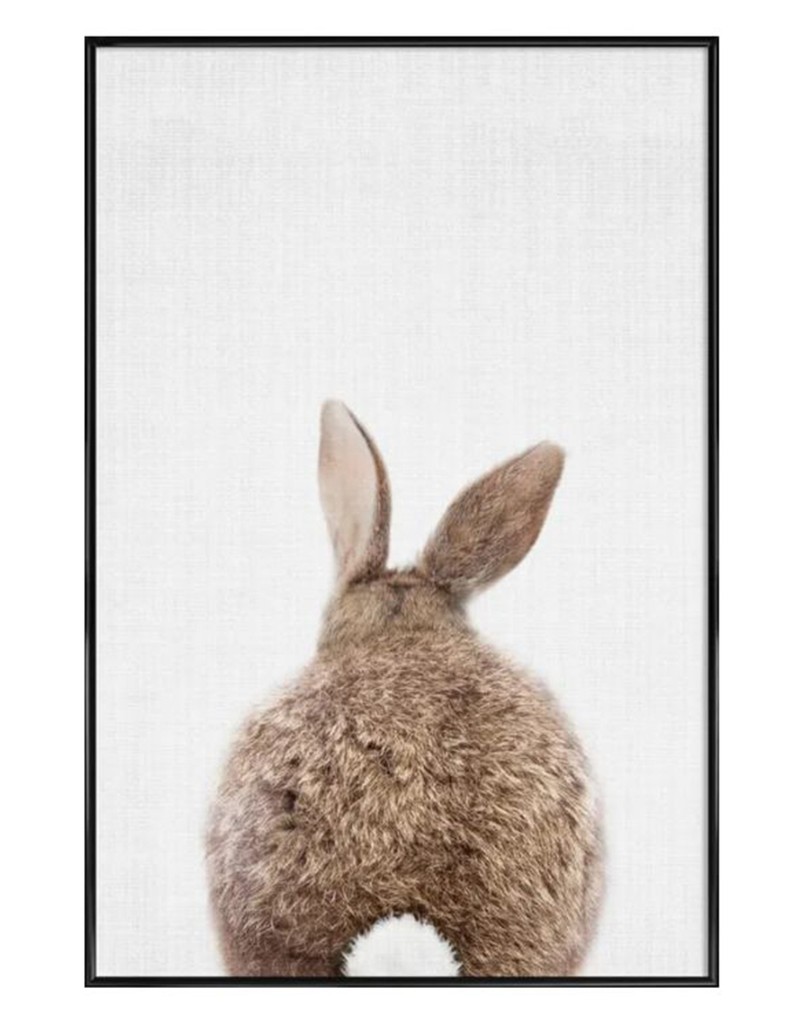 Rabbit Tail from Lila X Lola