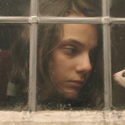 What To Watch This Weekend: His Dark Materials