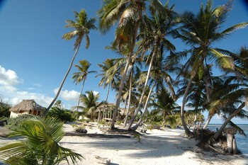 Ambergris Caye