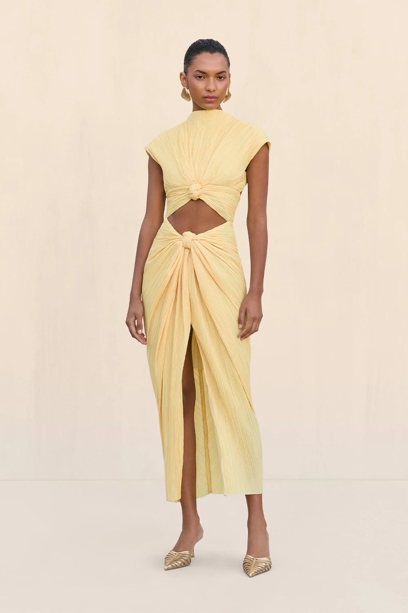 Inaya Dress from Cult Gaia