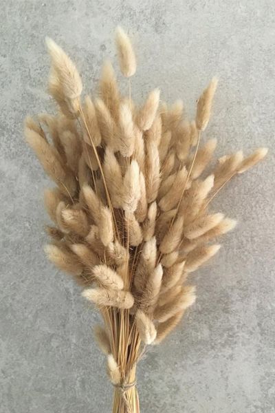 Dried Natural Bunny Tails from Everlasting Luxe