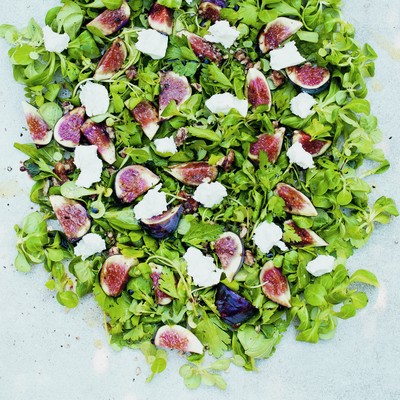 Fig, Goat's Cheese & Herb Salad
