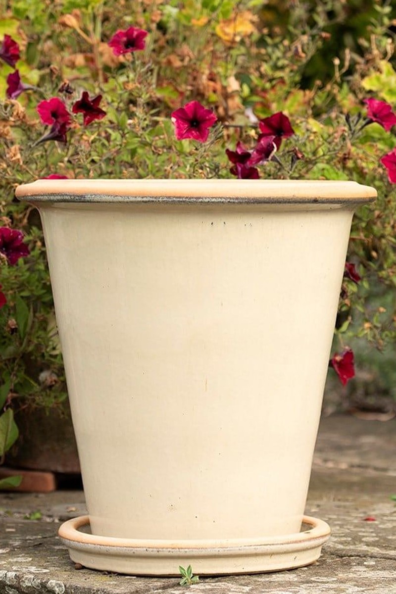Glazed Terracotta Pot & Saucer from RHS Plants