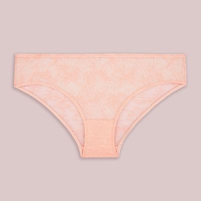 Bold Lace Bikini Brief In Peach 