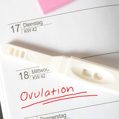 Ovulation 101: What To Know & Lifestyle Tips That Can Help