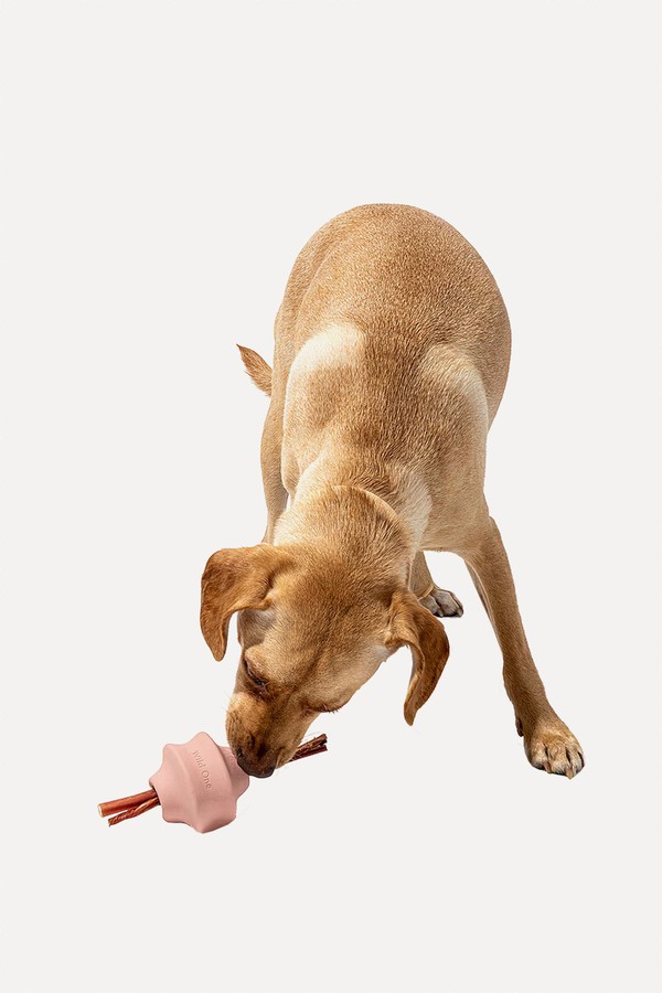 Twist Toss Toy from Wild One