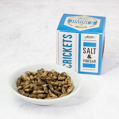 Jimini's Edible Crickets from Beetle Mania