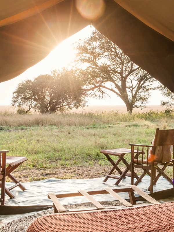 Trips Of A Lifetime: African Safaris