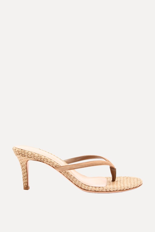 Calypso 70 Raffia Thong Mules from GIANVITO ROSSI