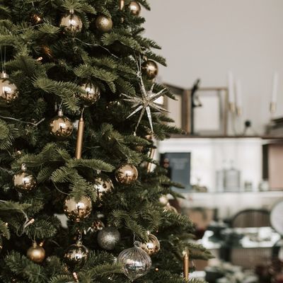 How To Keep Your Christmas Tree Looking Fresher For Longer 