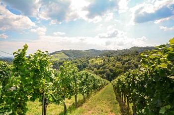 Douro Valley