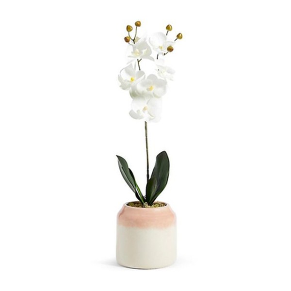 Large Orchid in Ombre Ceramic