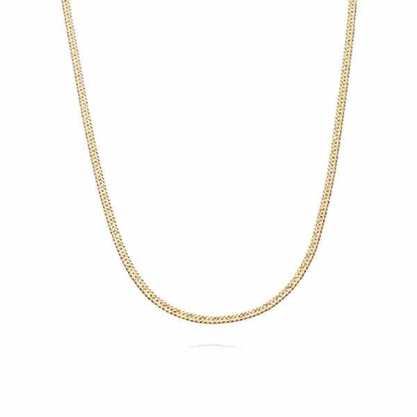 Long Flat Snake Chain Necklace from Daisy Jewellery