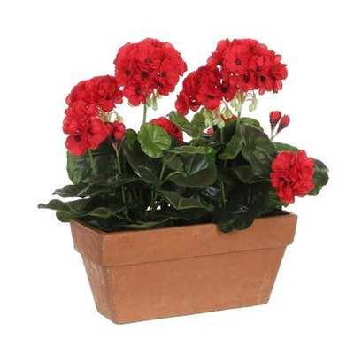 Geranium Floral Arrangement In Planter from The Seasonal Aisle