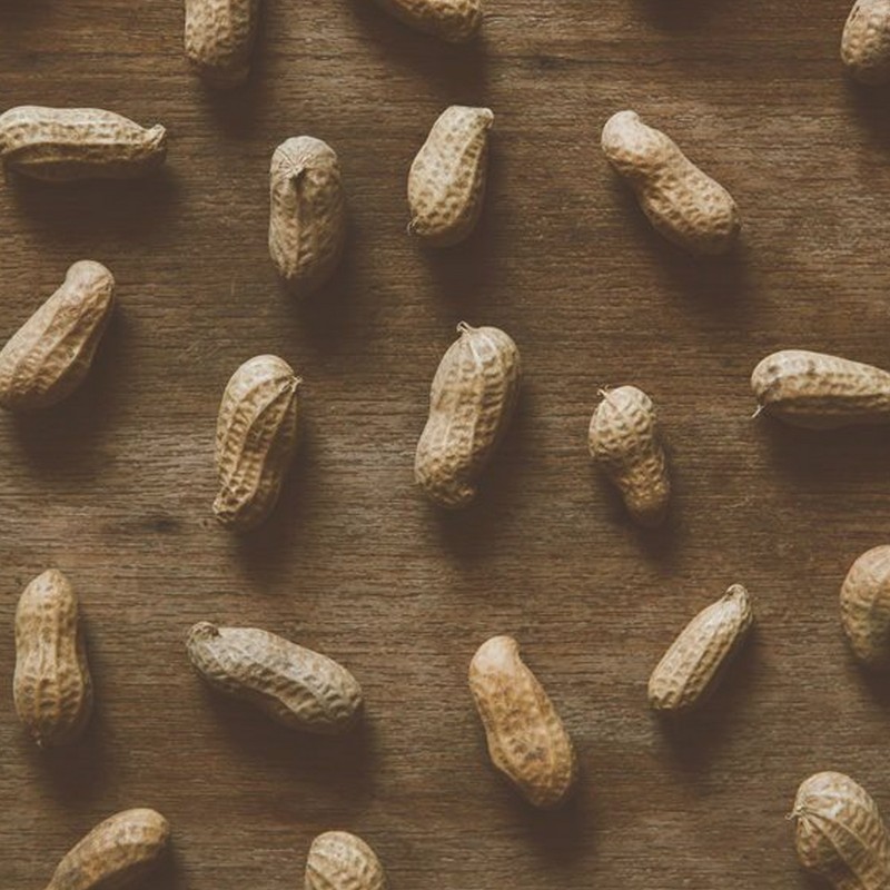 Everything You Need To Know About Peanut Allergies