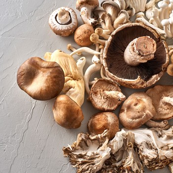 It’s Mushroom Season – Here’s What You Need To Know