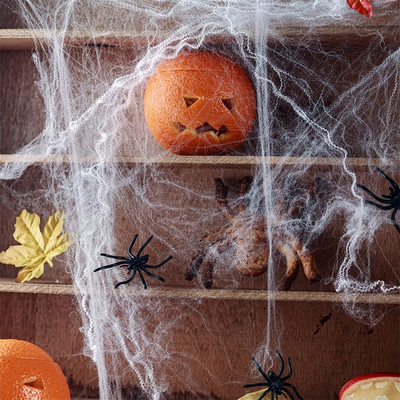 Halloween Stretchy Spider Web Decorations from Toymytoy