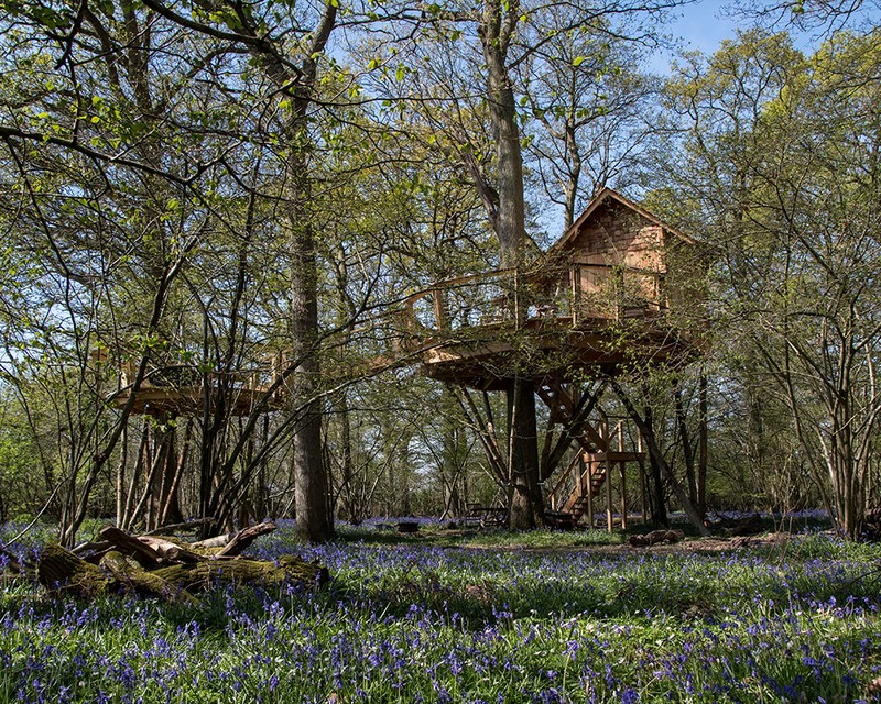 Rewilding Estate Treehouses
