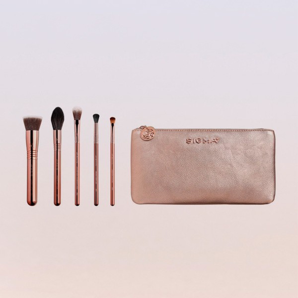 Iconic Brush Set from Sigma