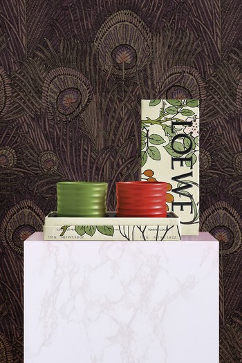 Luscious Pea & Tomato Leaves Scented Candle Gift Set from Loewe