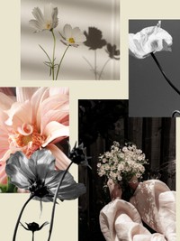 Where To Look For Garden Inspiration