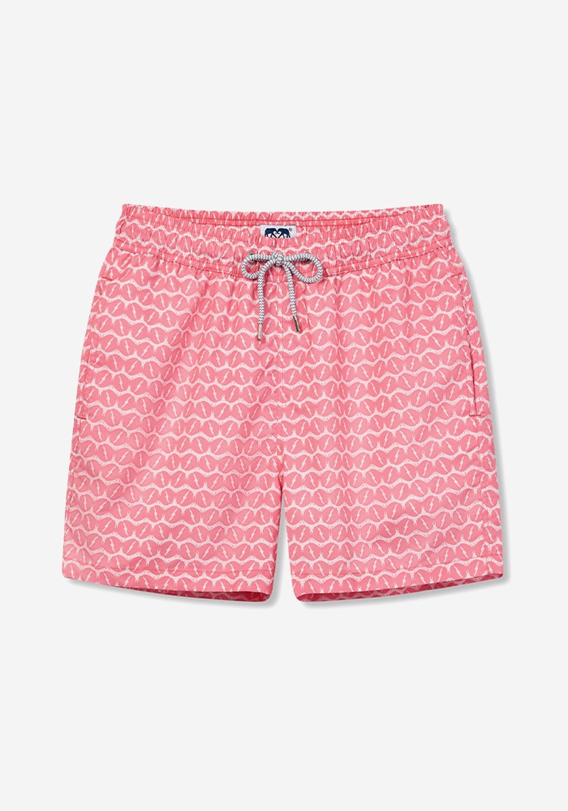 Fly With Me Staniel Swimming Shorts from Love Brand & Co.