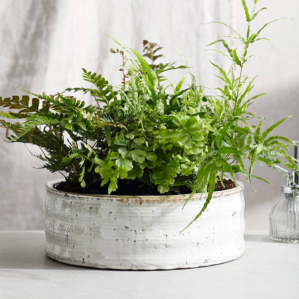 Textured Ceramic Large Planter