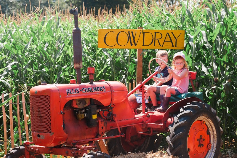 Cowdray Estate