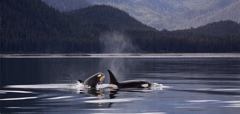 The Best Places To Visit In Canada