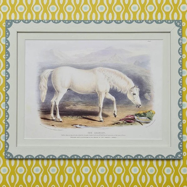 Vintage Arabian Print In Handpainted Frame from The Handpainted Frame Company