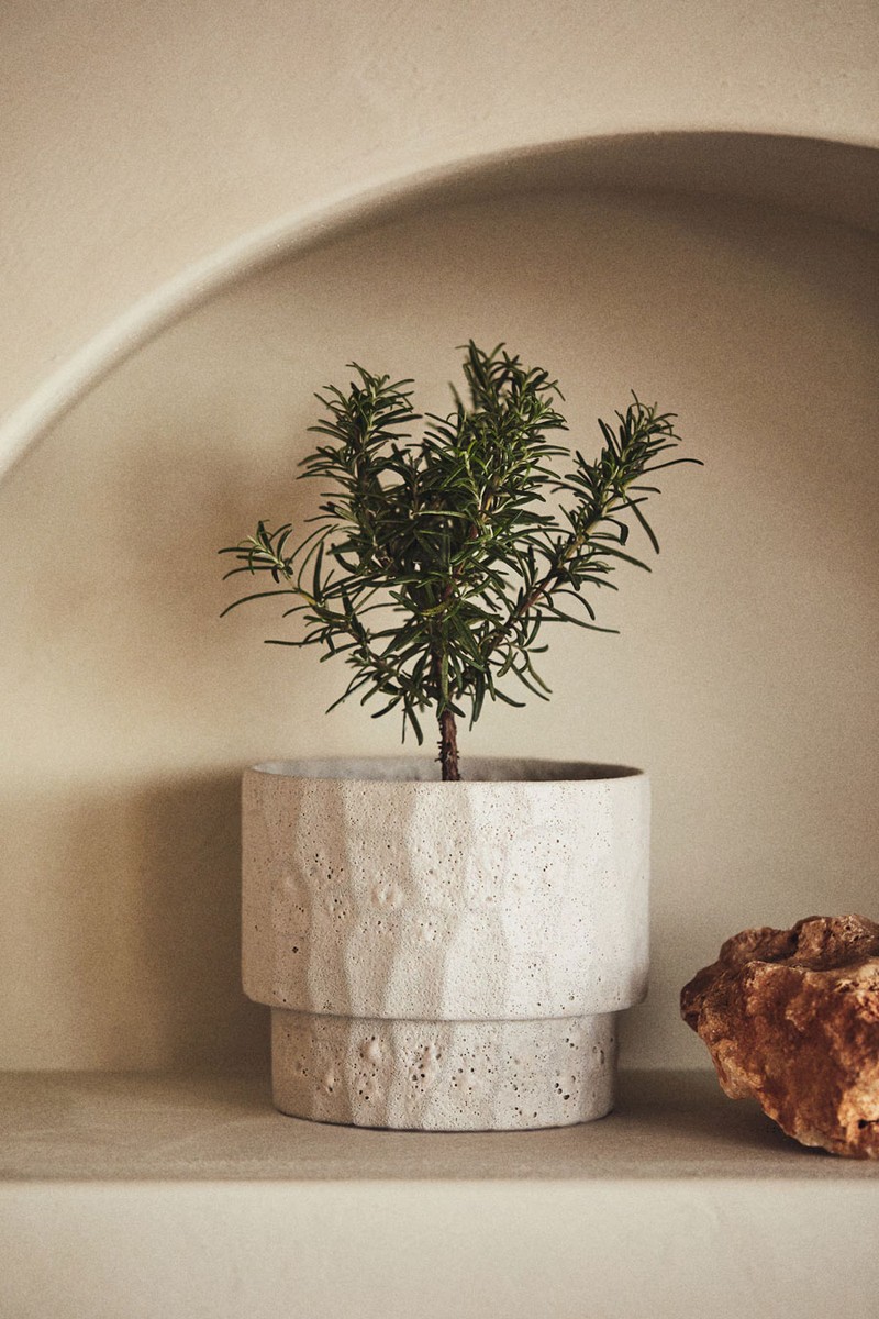 Terracotta Plant Pot