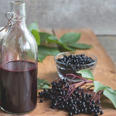 Elderberry: The Wise Old Berry