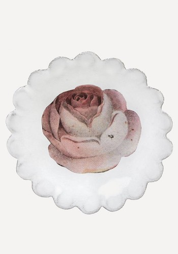 Rose Saucer from Astier De Villatte