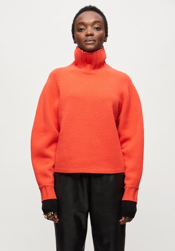 Boiled Wool Turtle Neck Jumper from Jigsaw