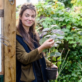 What’s In My Garden, With Frances Tophill 