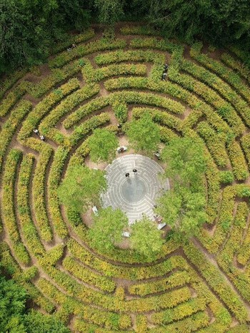 Crystal Palace Park Maze