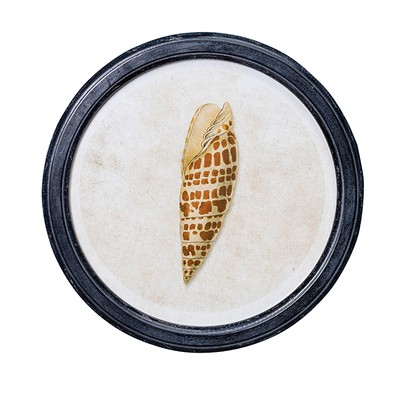 Round Framed Horn Shell from Graham & Green