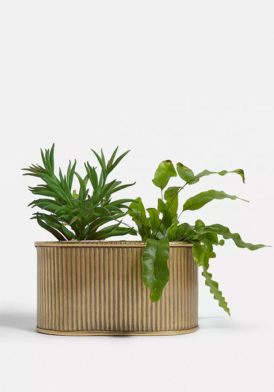 Oval Planter