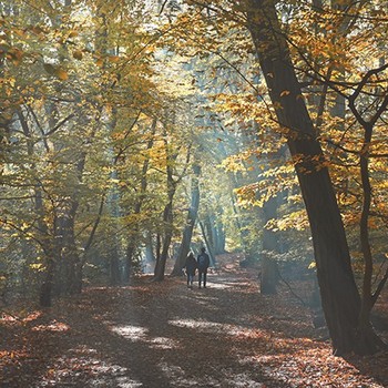 10 Autumnal Walks In Central London