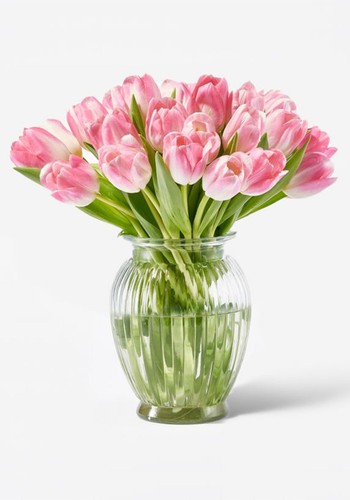 Dutch Tulips from FLOWRBX